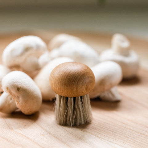 Mushroom Brush – simplycottage