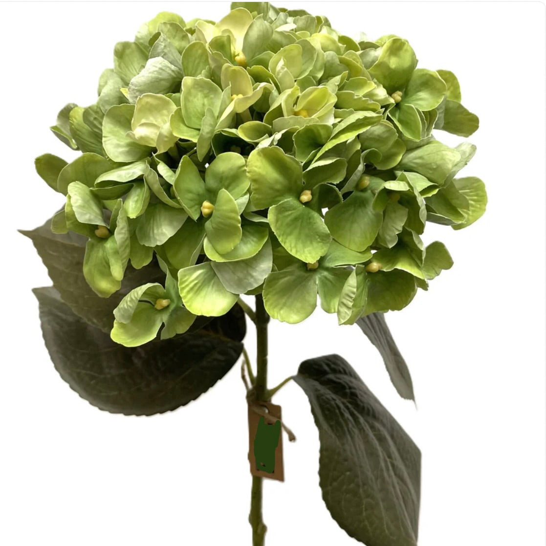 Green Hydrangea Spray – simplycottage